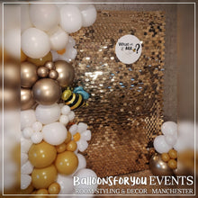 Load image into Gallery viewer, BABY BEE? 🐝Party Package *SAVE up to £22! (Hire)