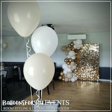 Load image into Gallery viewer, MINI Party Package *SAVE up to £25! (Hire)