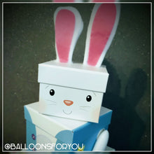 Load image into Gallery viewer, Easter Bunny Rabbit Stacker Plush Gift Box Set (3 Piece)