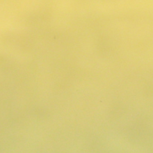 Load image into Gallery viewer, Personalise it! Add a name or message