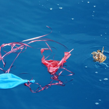 Load image into Gallery viewer, Balloons for release