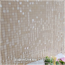 Load image into Gallery viewer, Luxury Shimmer Wall - Nude - NEW for 2026!
