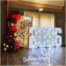 Load image into Gallery viewer, MINI Shimmer Party Package *9 WALL SHADES AVAILABLE *SAVE up to £25! (Hire)
